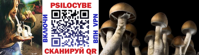 хочу   Томск  Галлюциногенные грибы MAGIC MUSHROOMS 